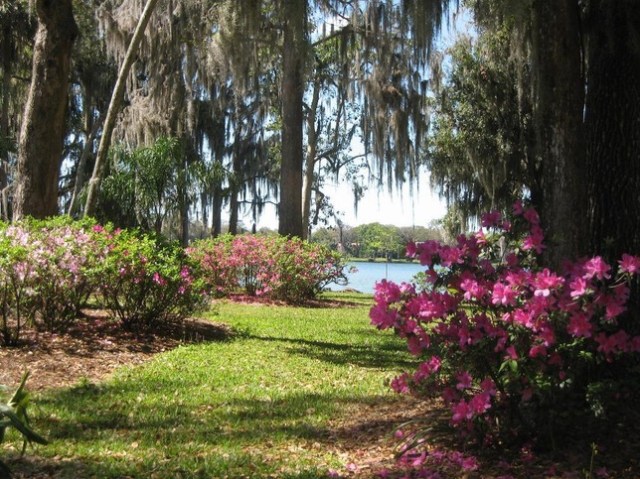 4370404-kraft_azalea_gardens_Winter_Park