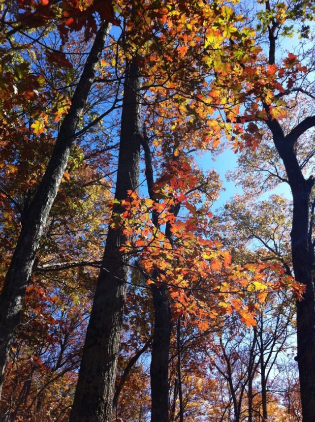 Photo Credit: Tracy Lytle