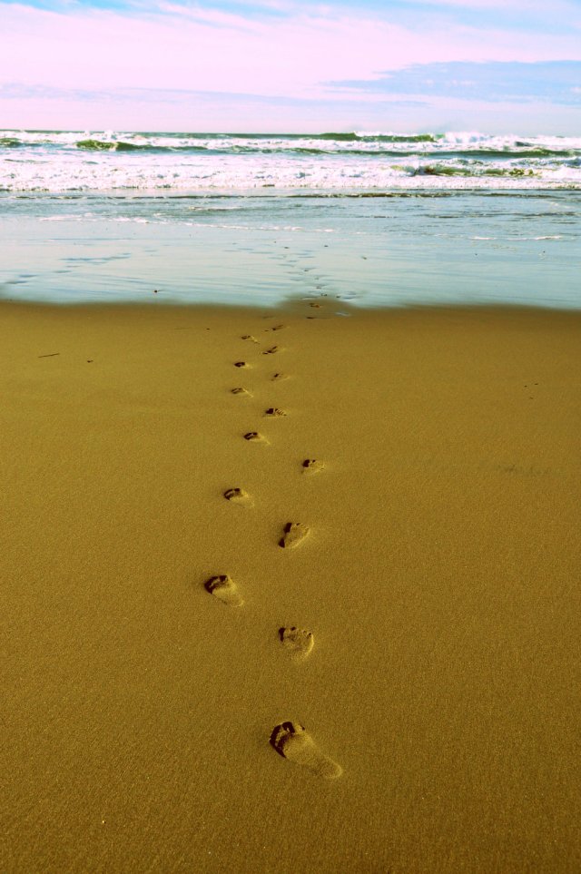 il_fullxfull.283731985