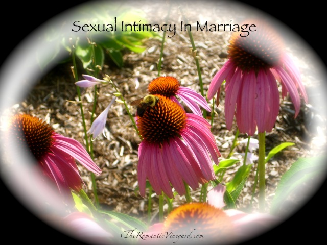 Sexual Intimacy in Marriage