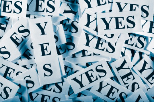 Org Yes Grateful For Our Yeses | The Romantic Vineyard