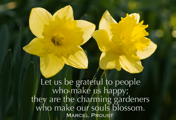 Photo Credit: thoughtfulcaregiver.com