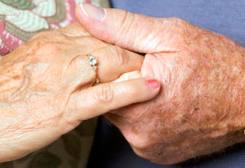 Photo Credit: www.tert.am 