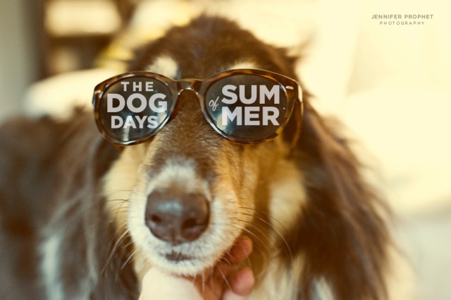 Photo Credit: Jennifer Prophet