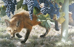 Art by Carl Brenders