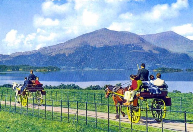 Image Credit: mengelfamily.com