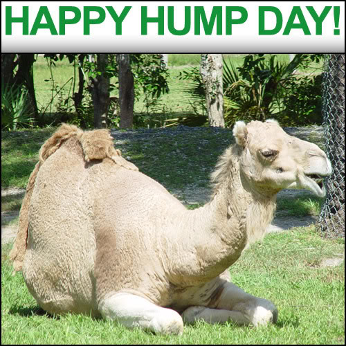 Photo Credit: Photo Bucket