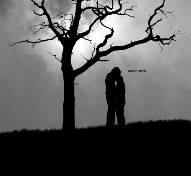 Graphic Credit: CoolChaser.com