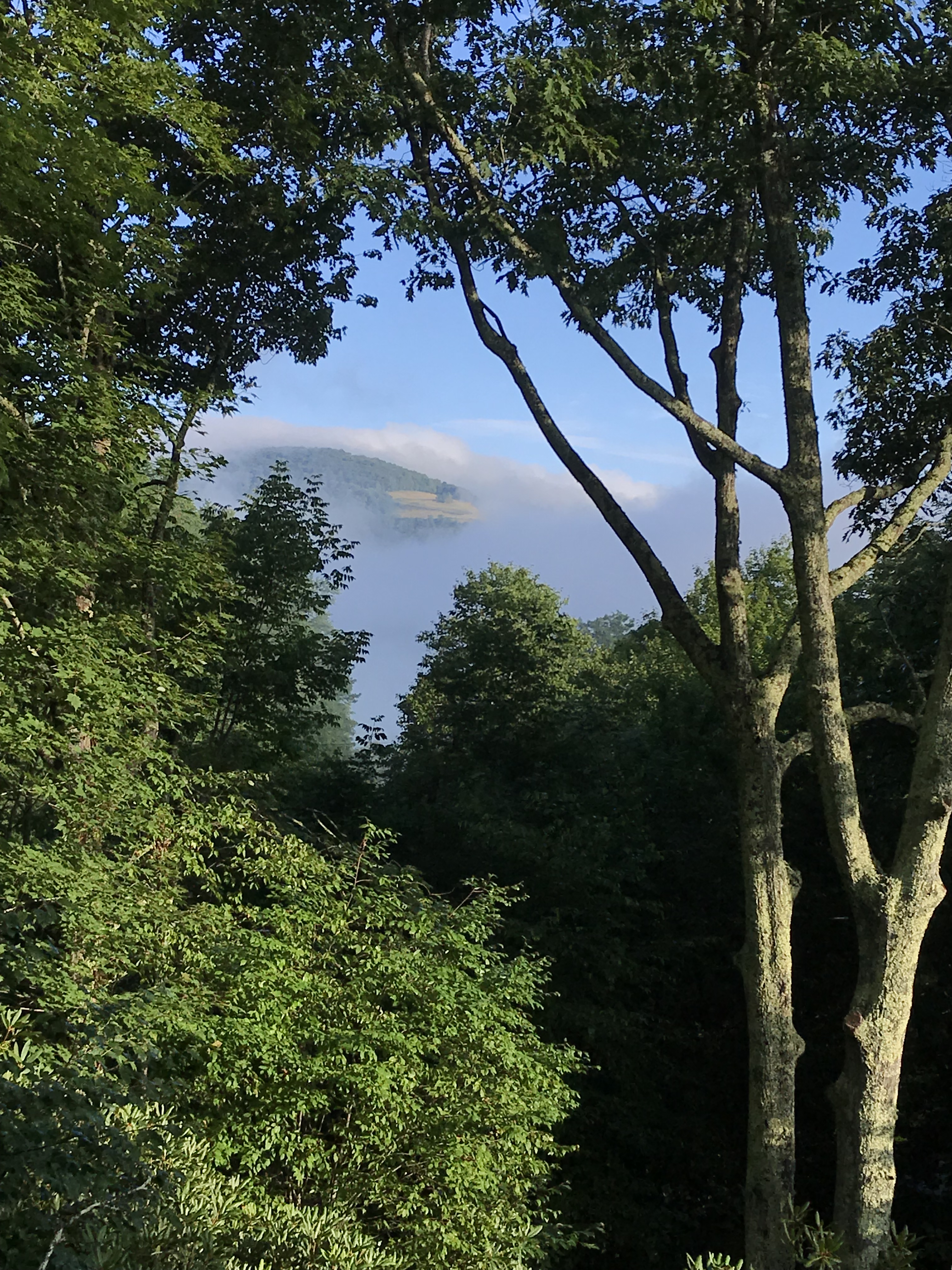 An unexpected direction from God this year. We are excited and ready to follow His lead.