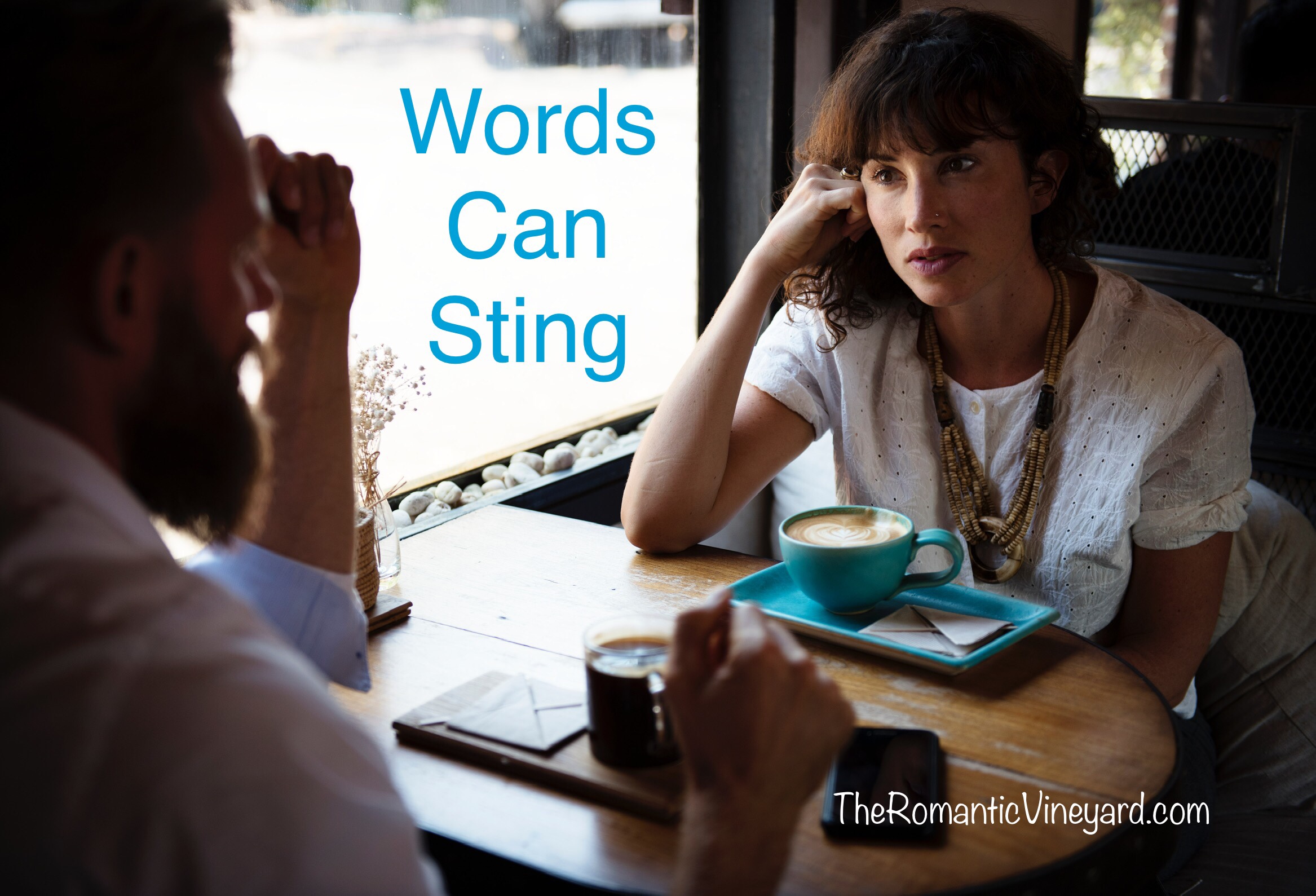 Stinging words can impact a marriage in a negative way. The enemy loves to use this one tactic to bring division. Be aware of it and flee!