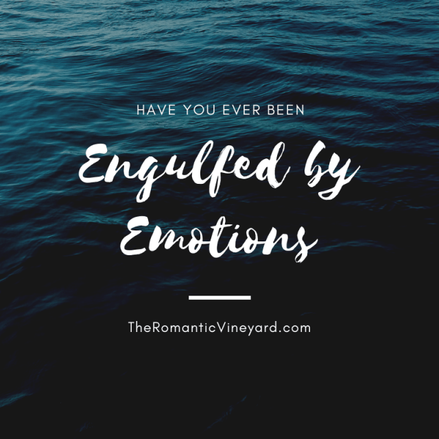 I have always been emotional. I cry at movies. I cry at weddings. I have even been known to cry at a funeral of someone whom I had never met. I put myself in another's place and imagine what it must feel like for them. This is great for showing empathy and weeping with those who weep. But at times I feel engulfed by it.