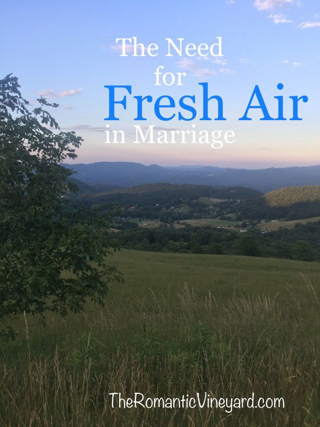 Whenever we come to our mountain cabin the first thing we notice is the fresh air. It is sweet and promotes a sense of peace.