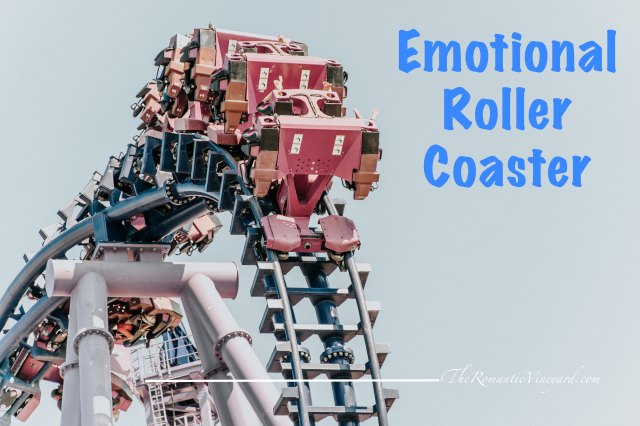 I hate roller coasters. They throw off your equilibrium and make you have to regain footing once you're back on solid ground. Not to mention the unexpected twists, turns and drops along the way. I'd rather not take part, thank you very much.  This past week has been an emotional roller coaster for me. All the above applies.  But unlike choosing to buy a ticket to ride or not, I found myself on this one unaware until the first drop. 