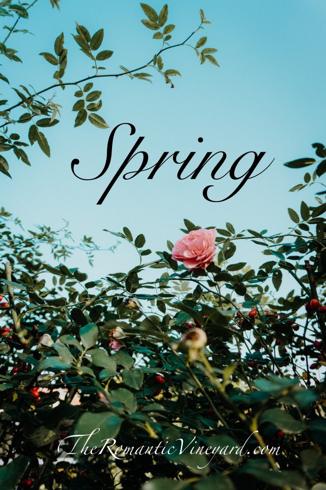 Spring is a time for pruning allowing new growth to come. 