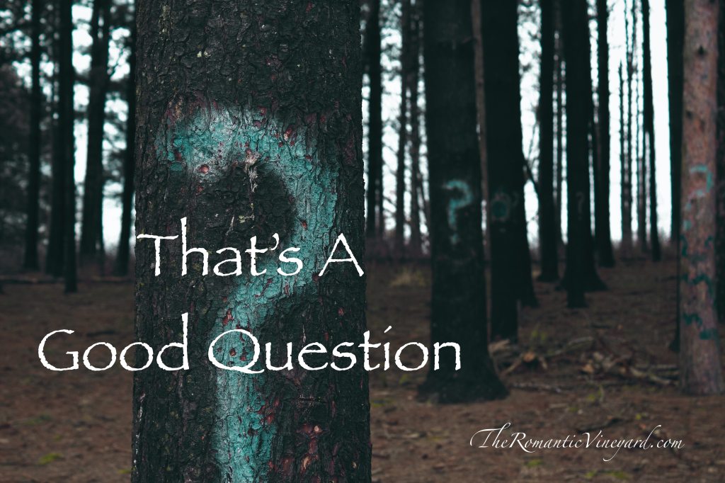 Questions, good questions, help a marriage grow strong and mature.